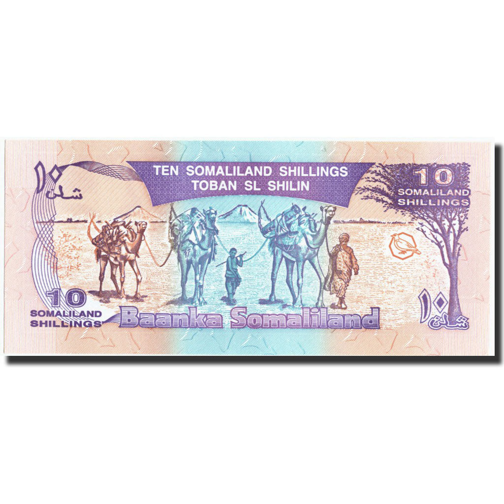 Geldschein, Somalia, 10 Scellini = 10 Shillings, 1994, 1994, KM:2a, UNZ