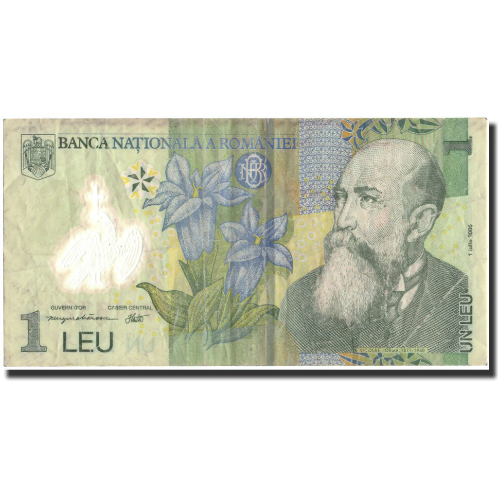 Banknote, Romania, 1 Leu, 2005, 2005-07-01, KM:117c, EF(40-45)