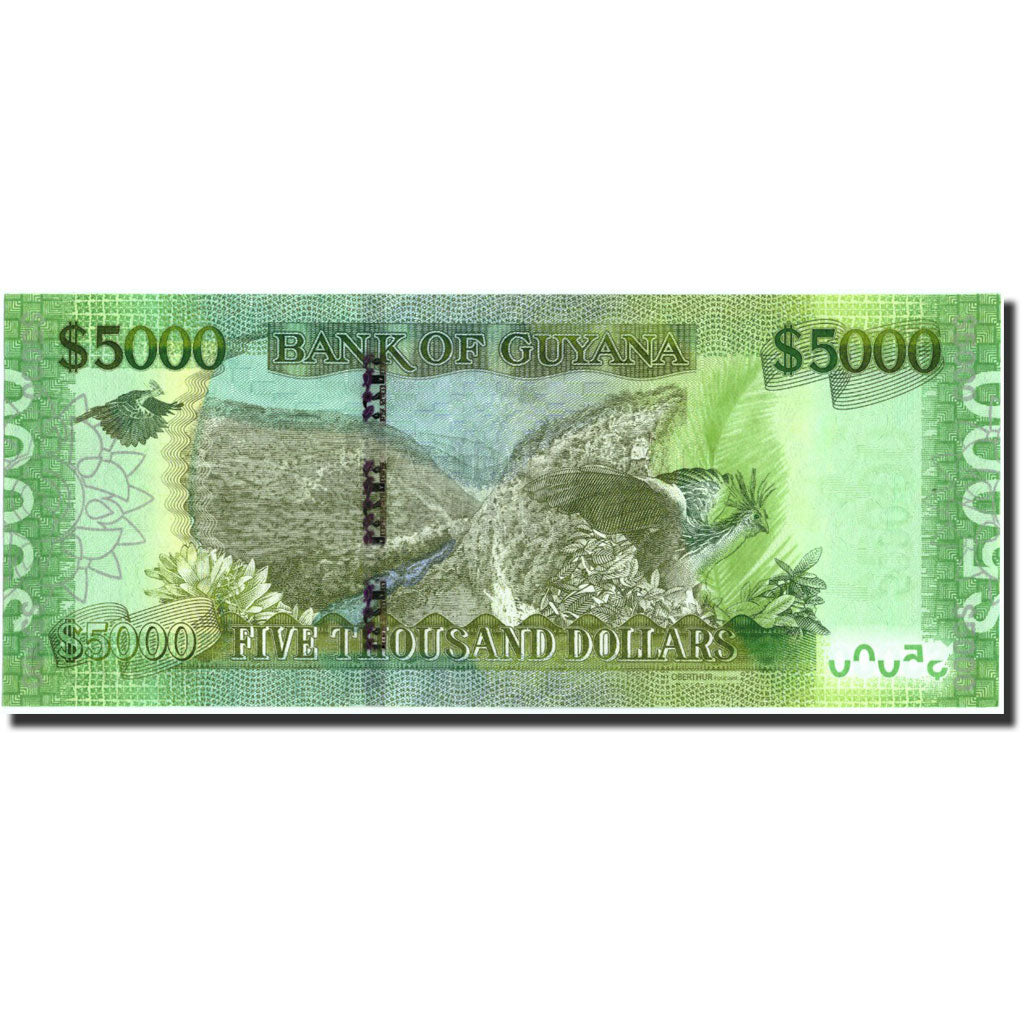 Banknote, Guyana, 5000 Dollars, Undated (2013), Undated, KM:40, UNC(63)