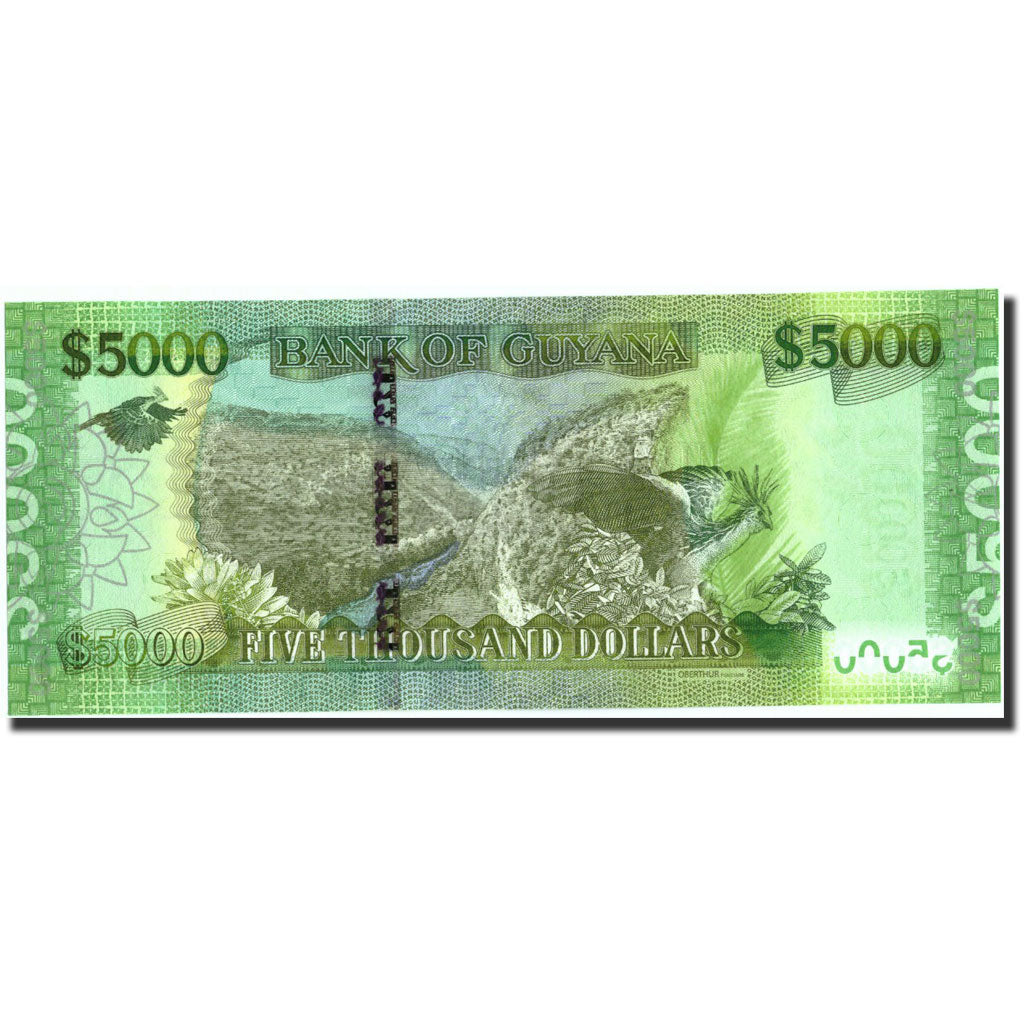 Billet, Guyana, 5000 Dollars, Undated (2013), Undated, SPL