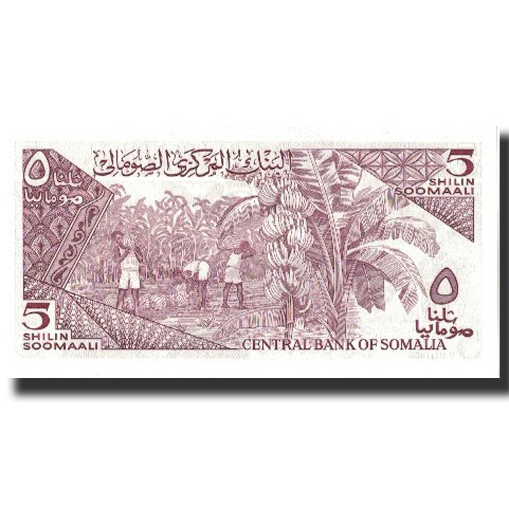 Banknote, Somalia, 5 Shilin = 5 Shillings, 1986, 1986, KM:31b, UNC(64)