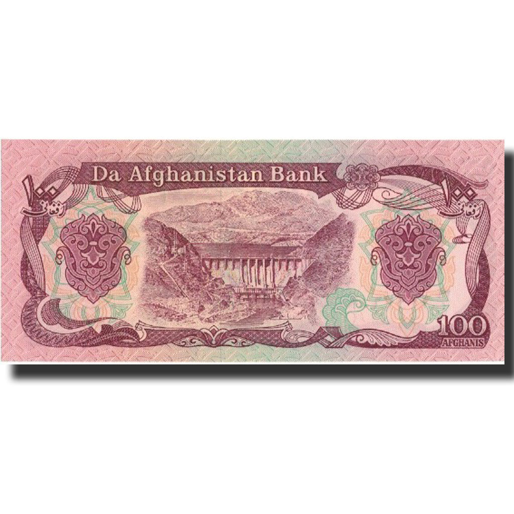 Banconote, Afghanistan, 100 Afghanis, 1991, 1991, KM:58c, FDS