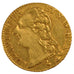 Louis XVI, Louis d'or
