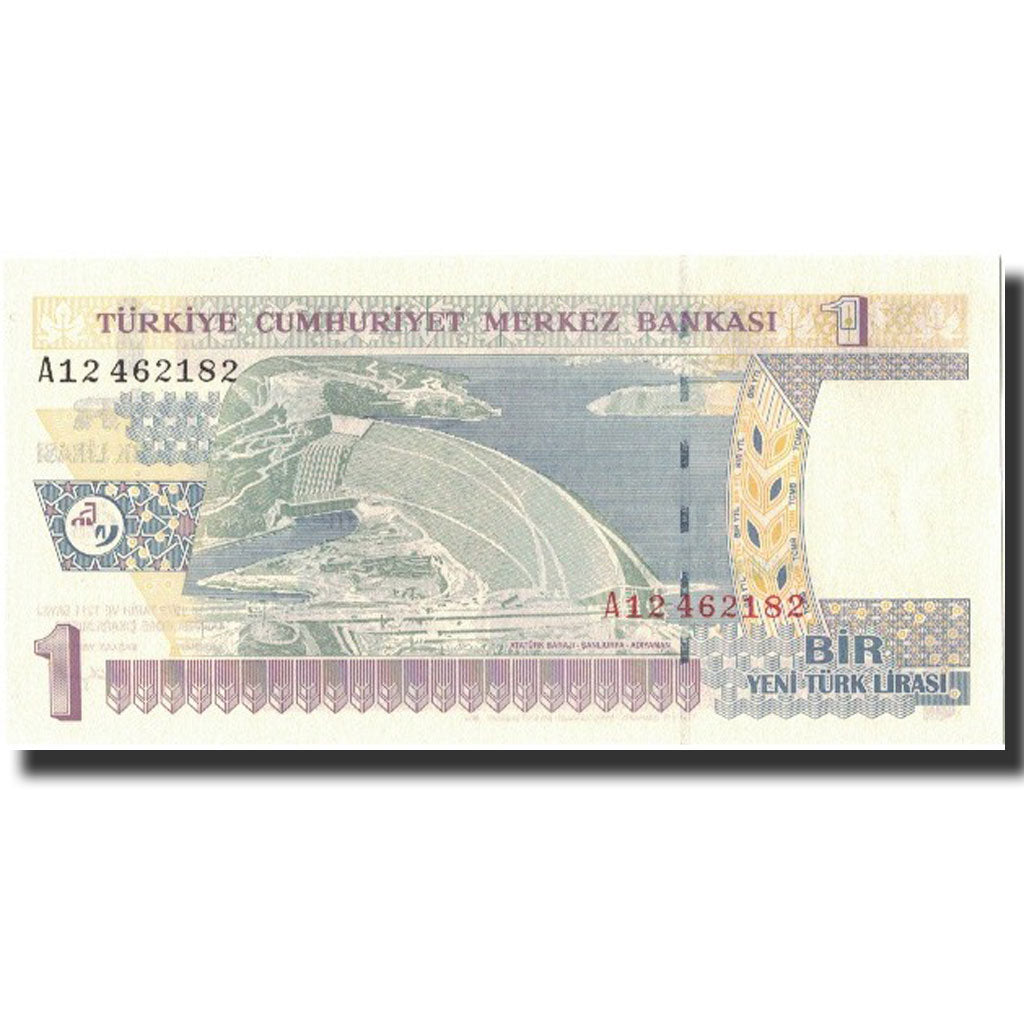 Banknote, Turkey, 1 New Lira, 2005, 2005, KM:216, UNC(65-70)