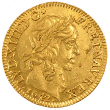Louis XIII, Louis d'or