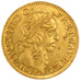 Louis XIII, Louis d'or