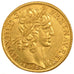 FRANCE, Double Louis d'or, 2 Louis D'or, 1641, Paris, KM #108, AU(55-58), Gold,.