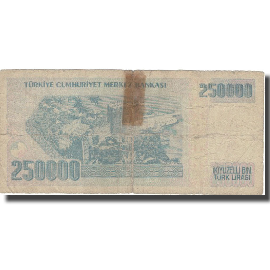 Banknote, Turkey, 250,000 Lira, 1998, 1998, KM:211, VG(8-10)