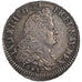 Monnaie, France, Louis XIV, 1/2 Écu aux 8 L, 1/2 Ecu, 1691, Troyes, TTB+