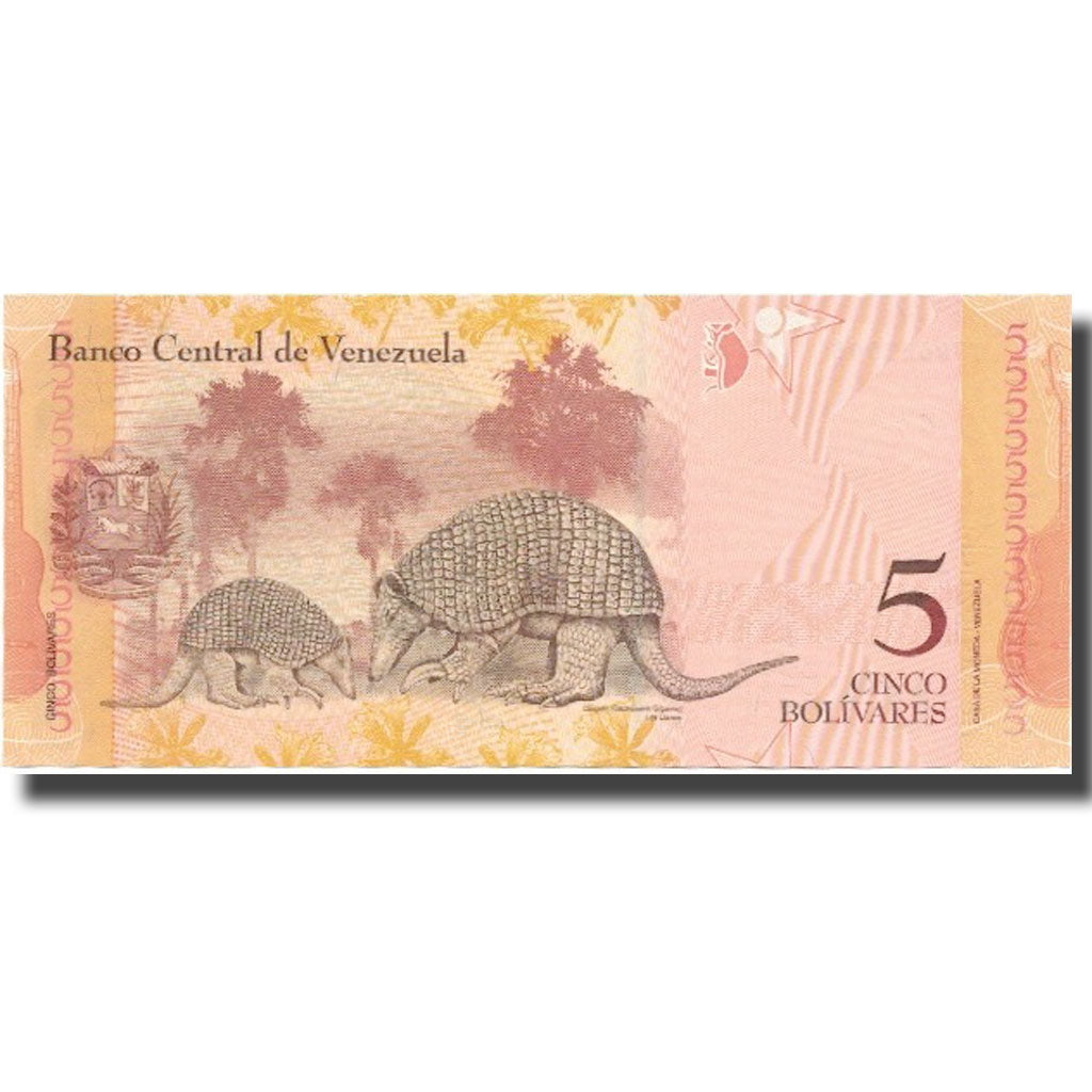 Banknote, Venezuela, 5 Bolivares, 2014, 2014-08-19, UNC(64)