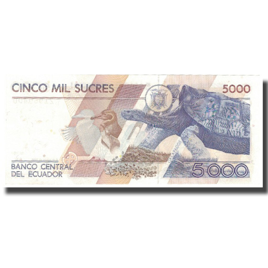 Banknote, Ecuador, 5000 Sucres, 1995, 1995-08-08, KM:128b, AU(50-53)