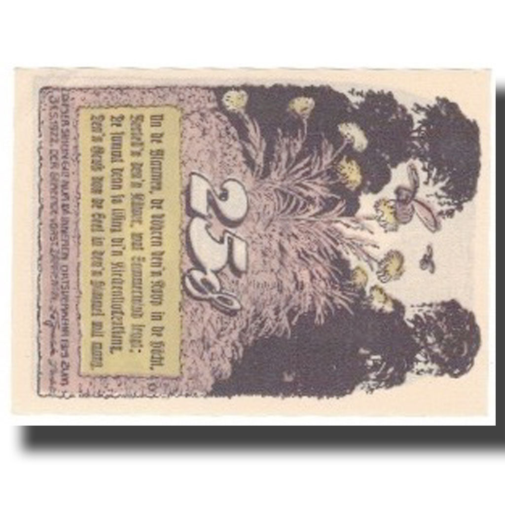 Banknote, Germany, ZARRENTIN, 25 Pfennig, personnage 2, 1922, 1922-05-31