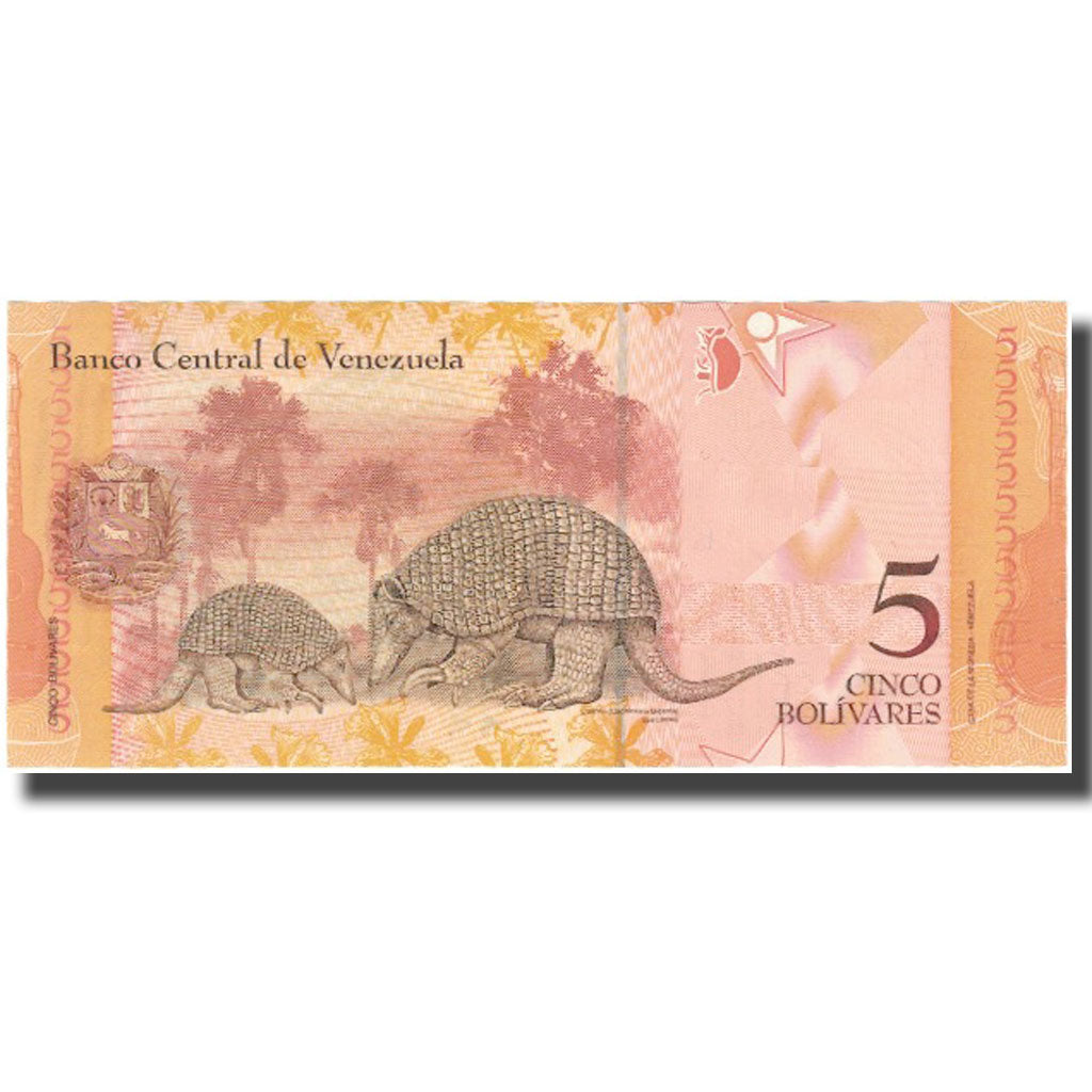 Banknote, Venezuela, 5 Bolivares, 2007, 2007-03-20, KM:89a, UNC(64)