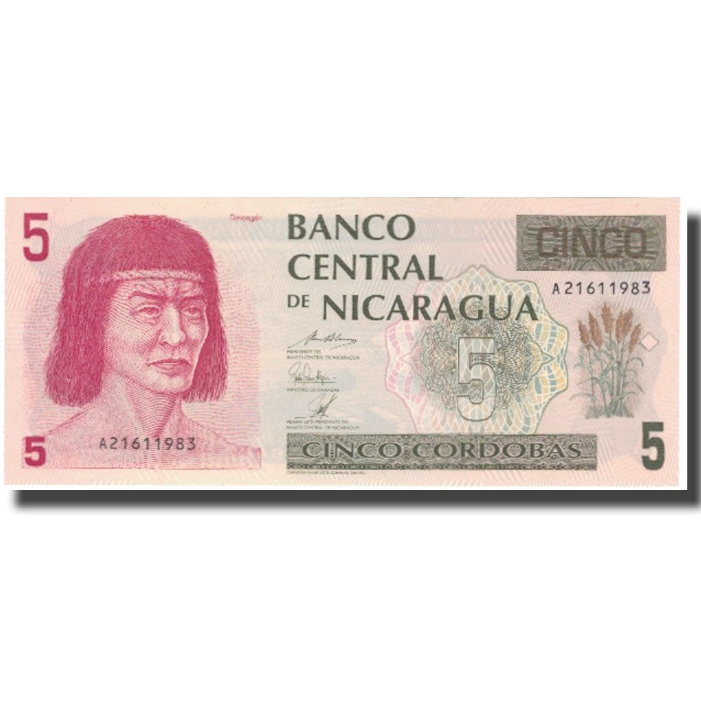 Billete, 5 Cordobas, Nicaragua, KM:174, UNC