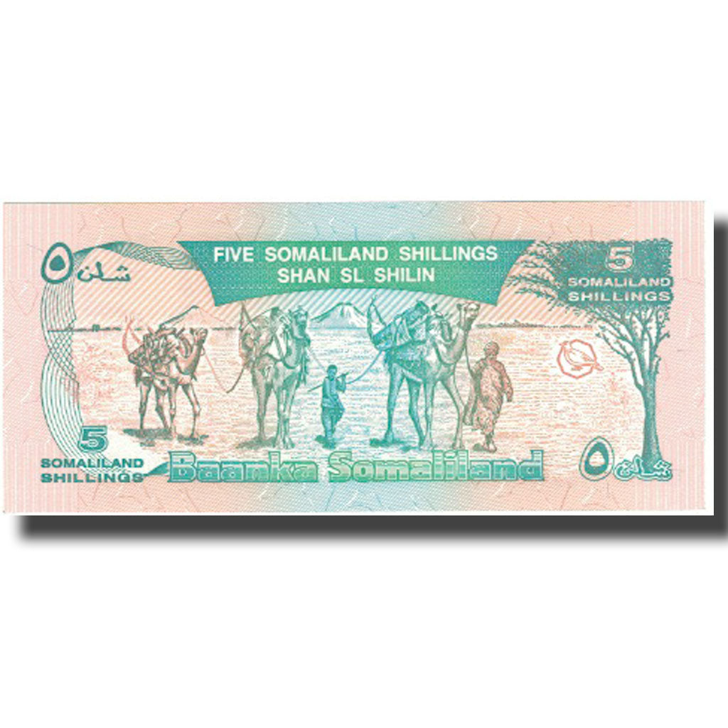 Banknote, Somaliland, 5 Shillings = 5 Shilin, 1994, 1994, KM:1s, UNC(65-70)