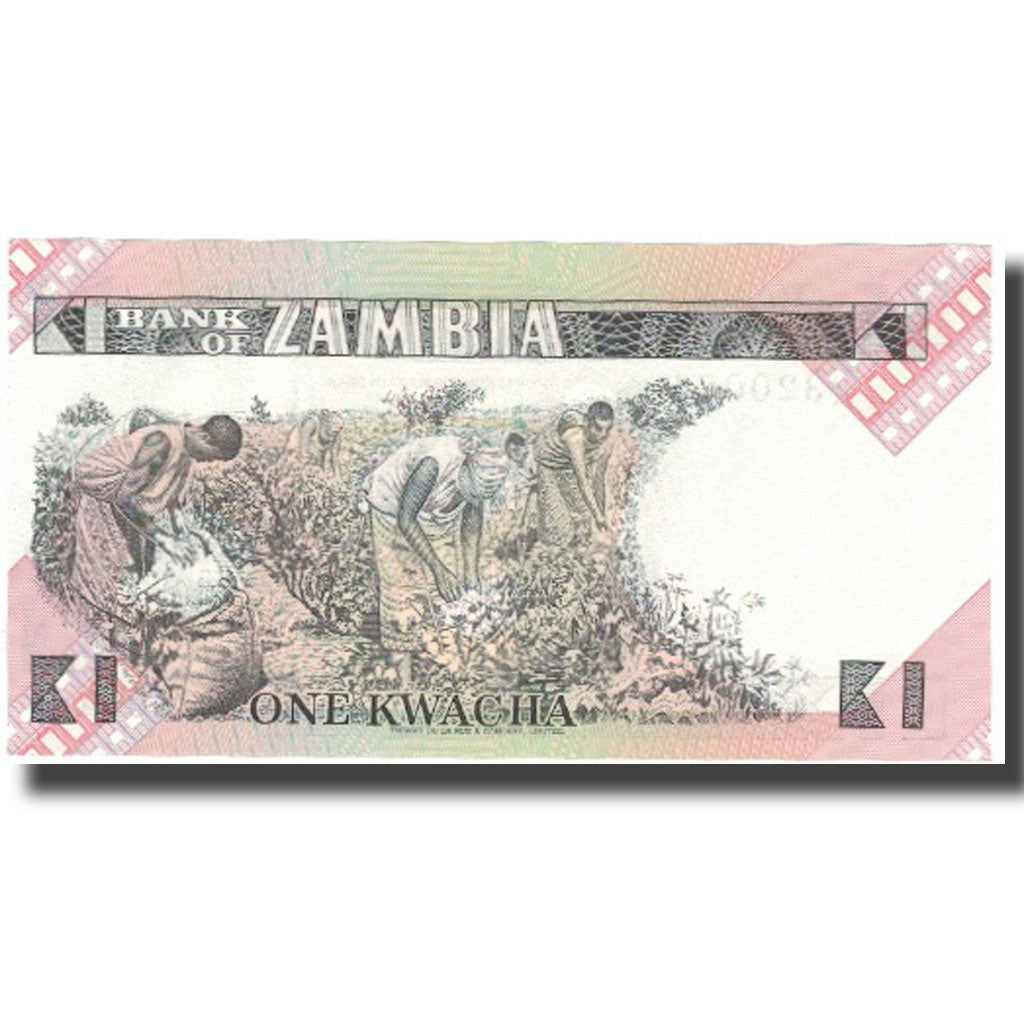 Banknote, Zambia, 1 Kwacha, Undated (1980-88), KM:23b, UNC(65-70)