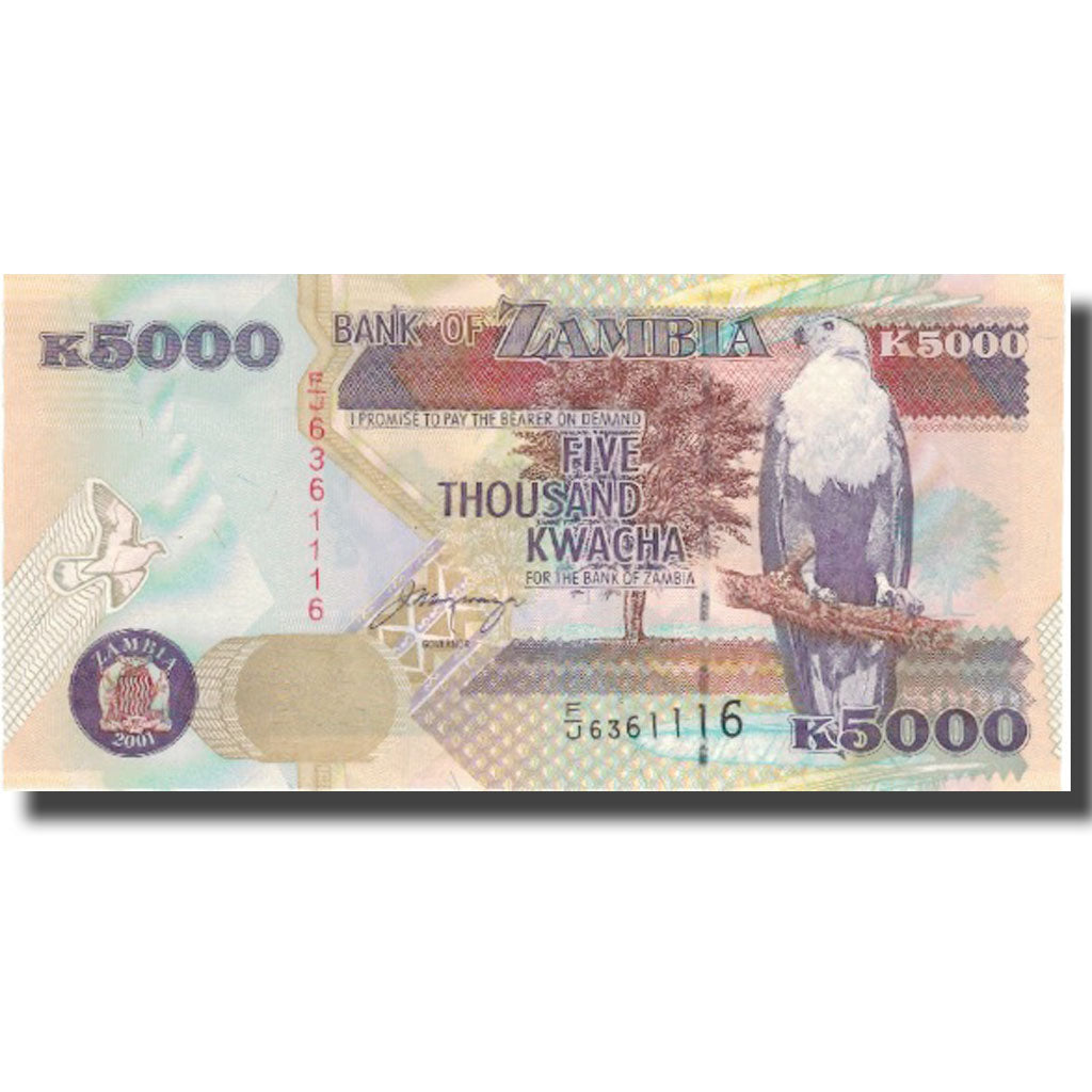 Banknote, Zambia, 5000 Kwacha, 2001, 2001, KM:41b, UNC(65-70)