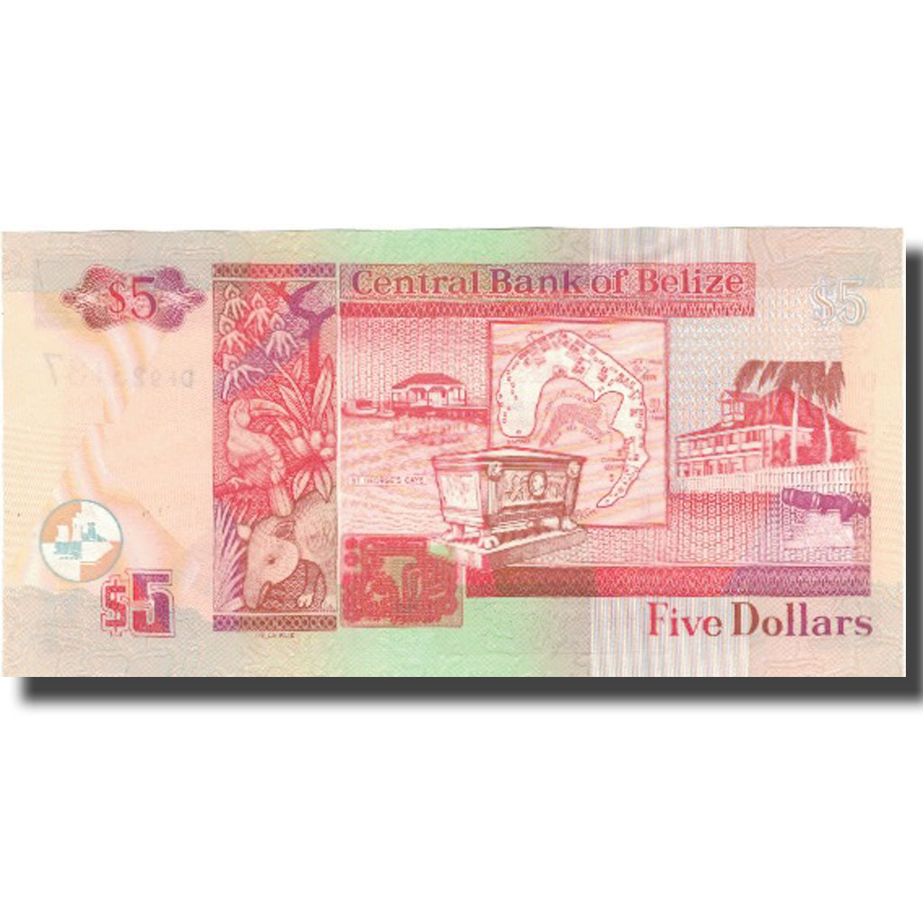 Banknote, Belize, 5 Dollars, 2007, 2007-07-01, KM:67c, UNC(65-70)