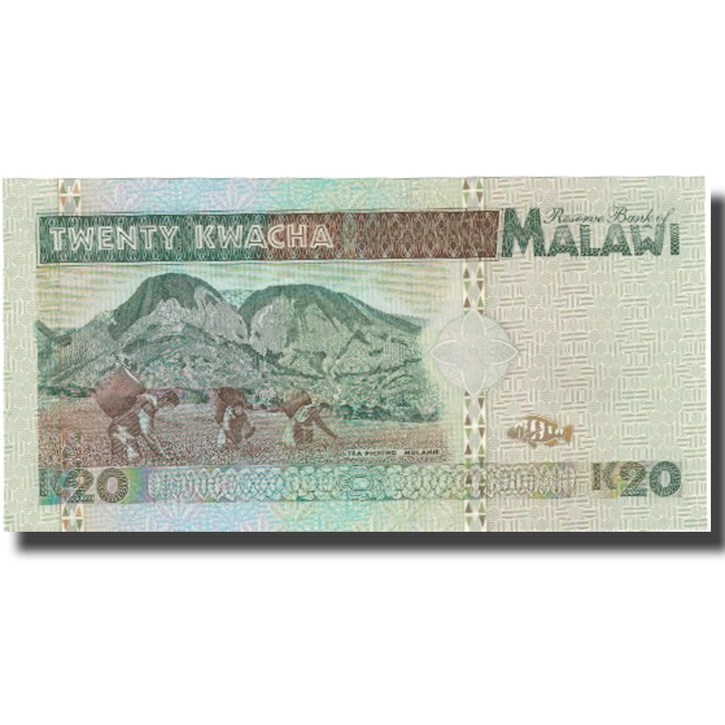 Banknote, Malawi, 20 Kwacha, 1995, 1995-06-01, KM:32, UNC(65-70)