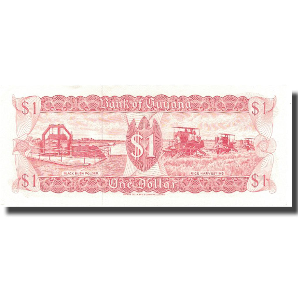 Banknote, Guyana, 1 Dollar, Undated (1966-92), KM:21g, UNC(64)