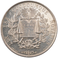 France, Notary, Token, AU(55-58), Silver, Lerouge #220, 20.78