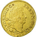 Monnaie, France, Louis XIV, Double louis d'or aux 4 L, 1694 Paris, Gadoury 260