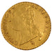 Louis XVI, Louis d'or