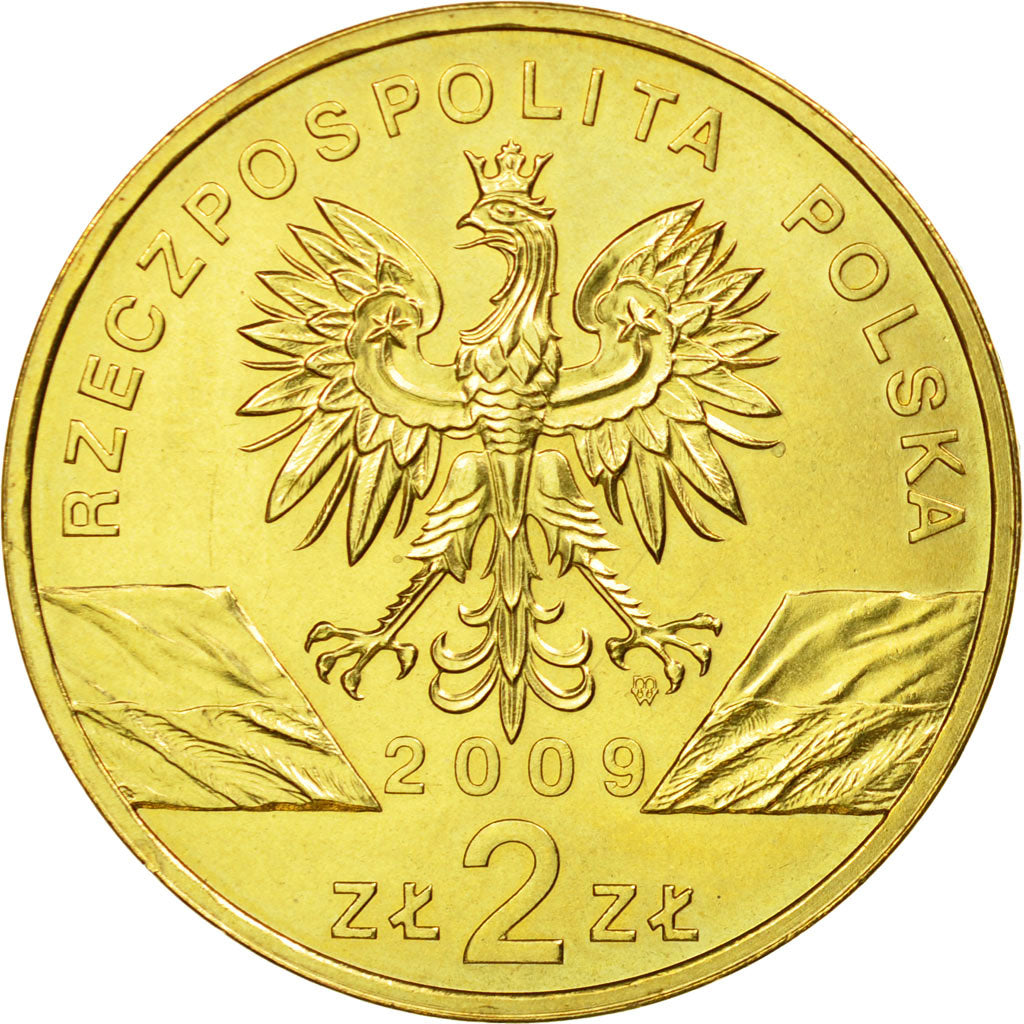 Coin, Poland, 2 Zlote, 2009, Warsaw, AU(55-58), Brass, KM:678