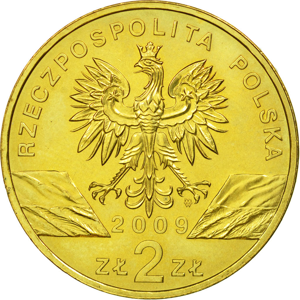 Münze, Polen, Green Lizards, 2 Zlote, 2009, Warsaw, SS, Messing, KM:678