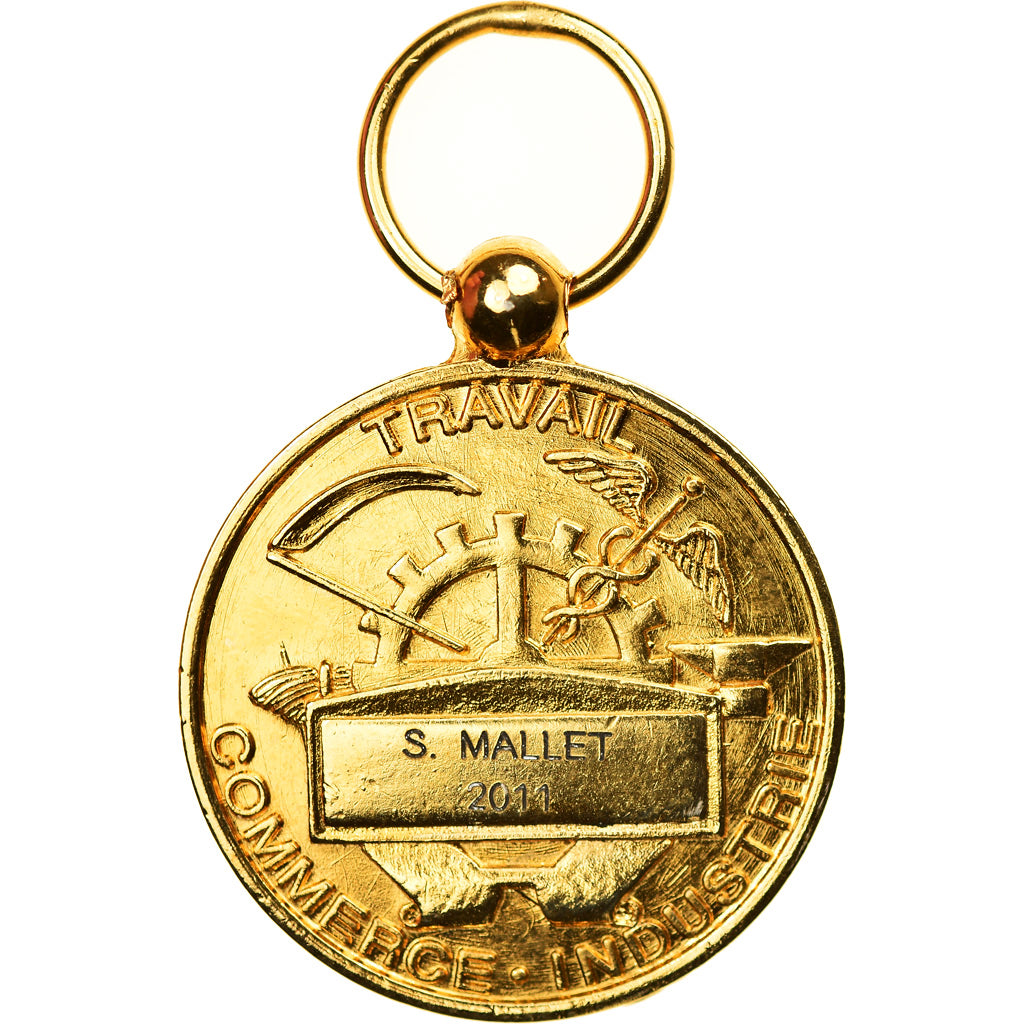 France, Honneur et Travail, Commerce et Industrie, Médaille, 2011, Excellent