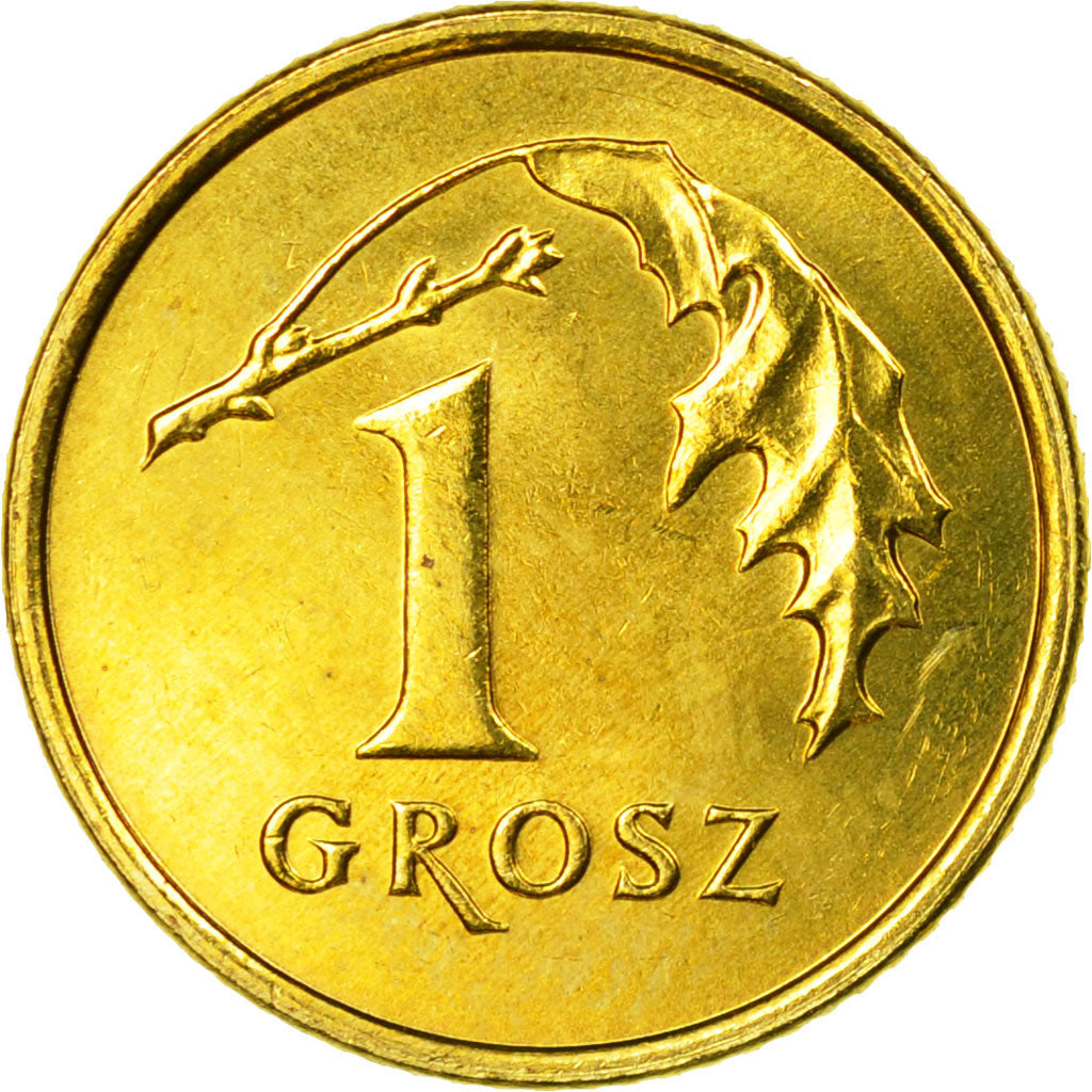 Coin, Poland, Grosz, 2004, Warsaw, MS(63), Brass, KM:276