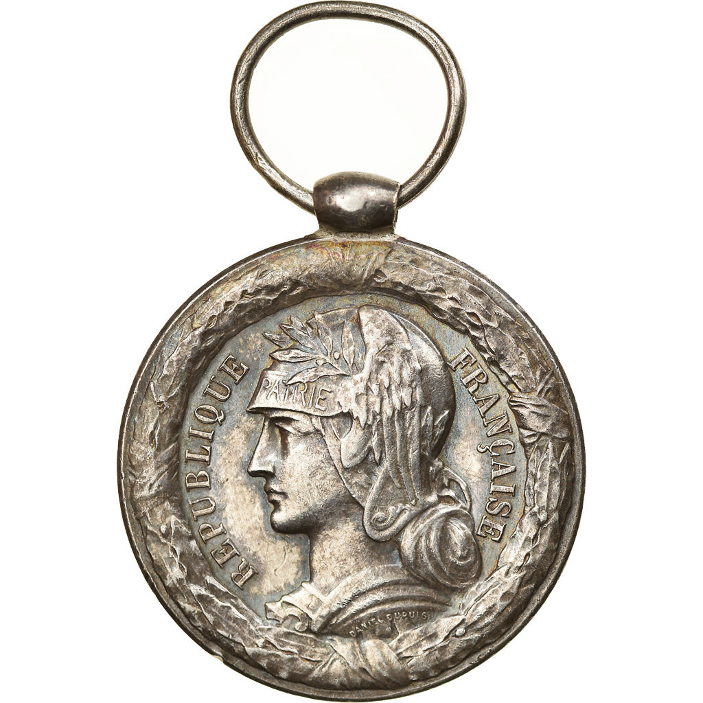 Francia, Campagne du Tonkin-Chine-Annam, medalla, 1883-1885, Excellent Quality