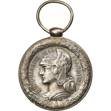 Francia, Campagne du Tonkin-Chine-Annam, medalla, 1883-1885, Excellent Quality