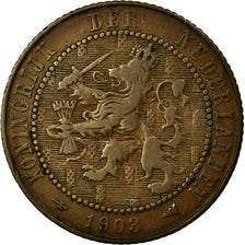 Coin, Netherlands, Wilhelmina I, 2-1/2 Cent, 1903, VF(30-35), Bronze, KM:134