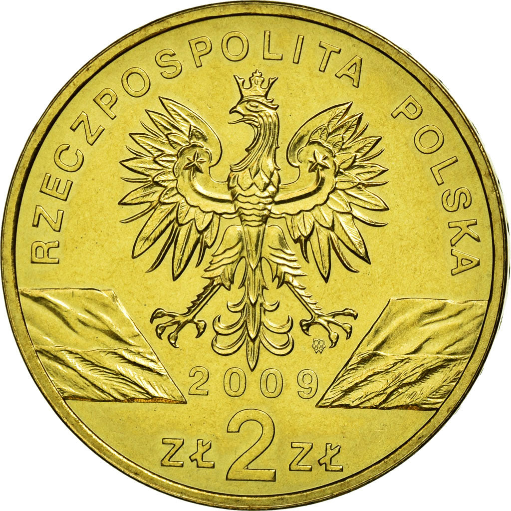 Moneda, Polonia, Green Lizards, 2 Zlote, 2009, Warsaw, MBC+, Latón, KM:678