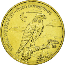 Coin, Poland, SOKOL WEDROWNY - Falco peregrinus, 2 Zlote, 2008, Warsaw