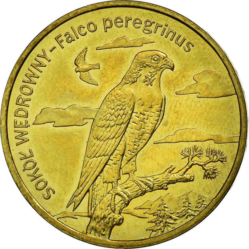 Moneda, Polonia, SOKOL WEDROWNY - Falco peregrinus, 2 Zlote, 2008, Warsaw, MBC