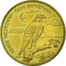 Moneda, Polonia, SOKOL WEDROWNY - Falco peregrinus, 2 Zlote, 2008, Warsaw, MBC