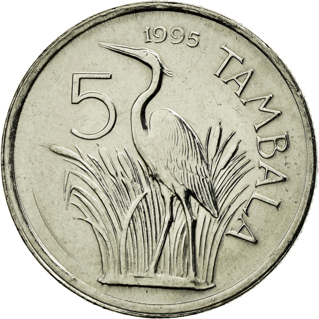 Moneta, Malawi, 5 Tambala, 1995, AU(55-58), Nickel platerowany stalą, KM:32.1