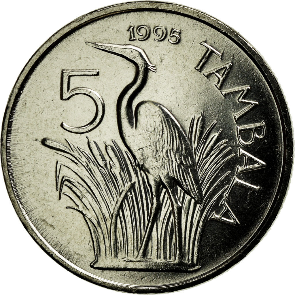 Coin, Malawi, 5 Tambala, 1995, AU(55-58), Nickel plated steel, KM:32.1
