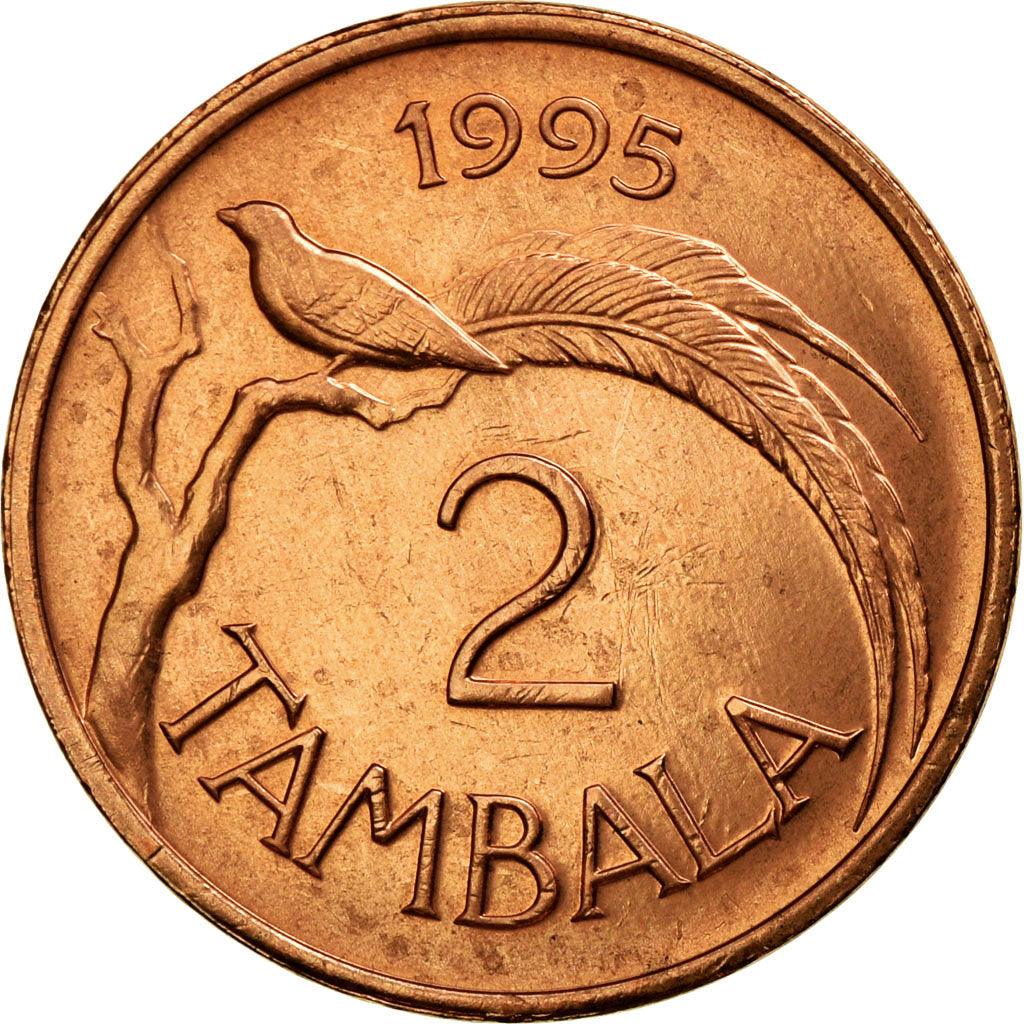 Coin, Malawi, 2 Tambala, 1995, AU(55-58), Copper Plated Steel, KM:25