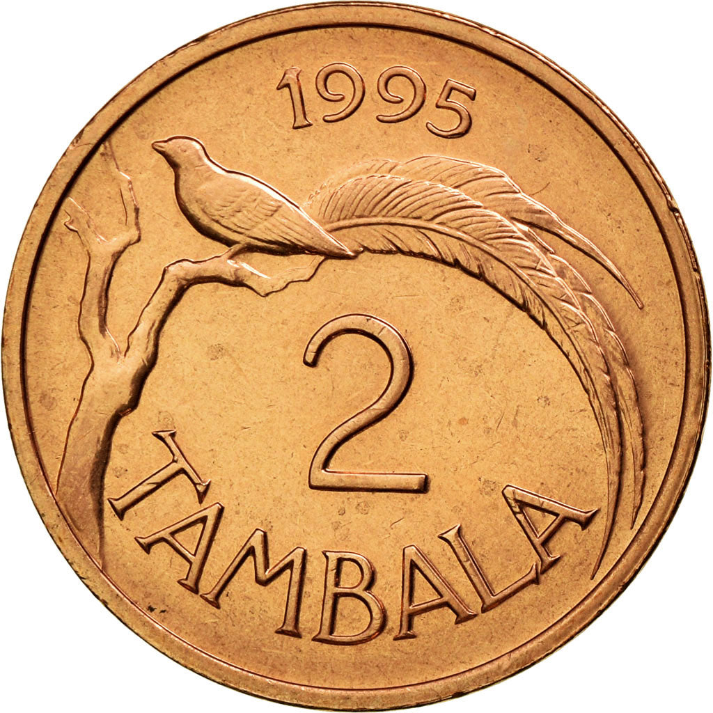 Moneta, Malawi, 2 Tambala, 1995, SPL-, Acciaio placcato rame, KM:25