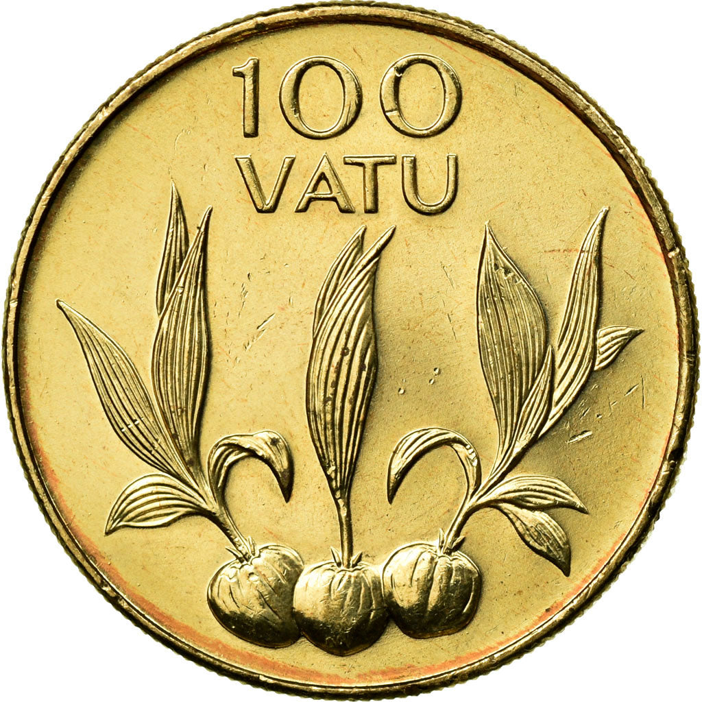 Coin, Vanuatu, 100 Vatu, 2002, Paris, EF(40-45), Nickel-brass, KM:9
