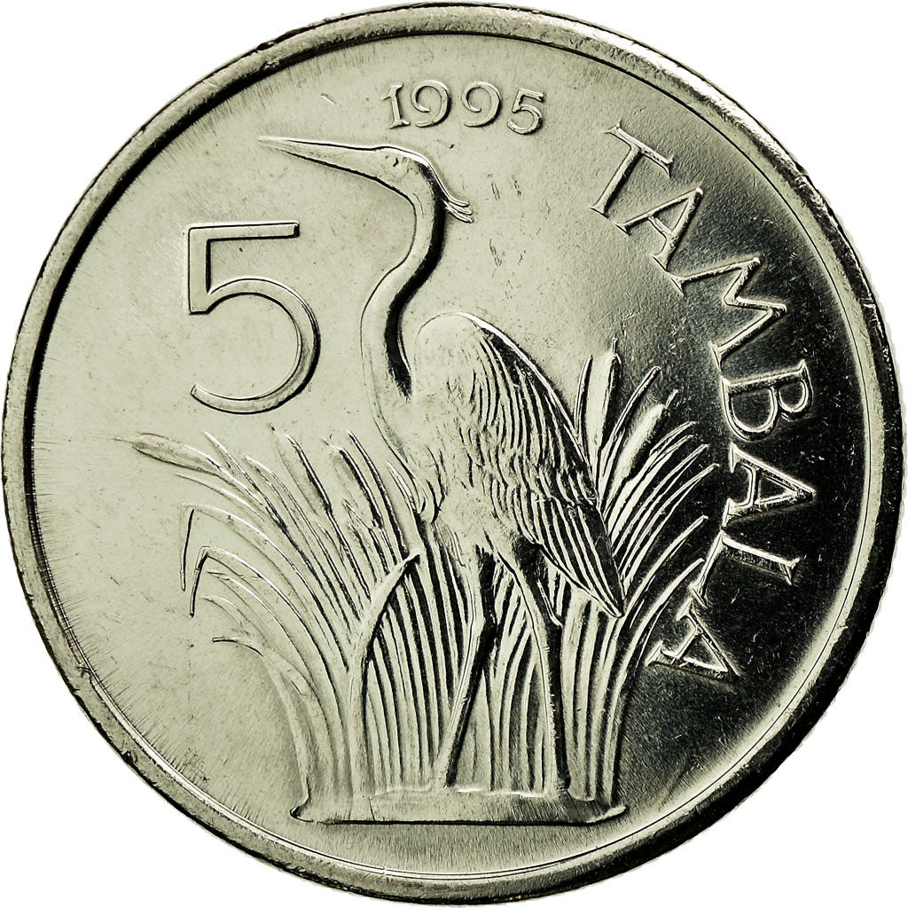 Coin, Malawi, 5 Tambala, 1995, EF(40-45), Nickel plated steel, KM:32.1