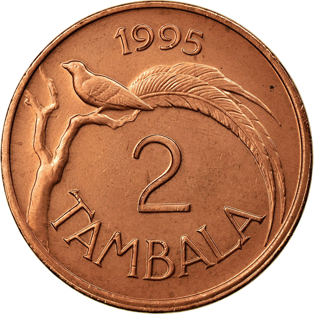 Coin, Malawi, 2 Tambala, 1995, EF(40-45), Bronze, KM:34