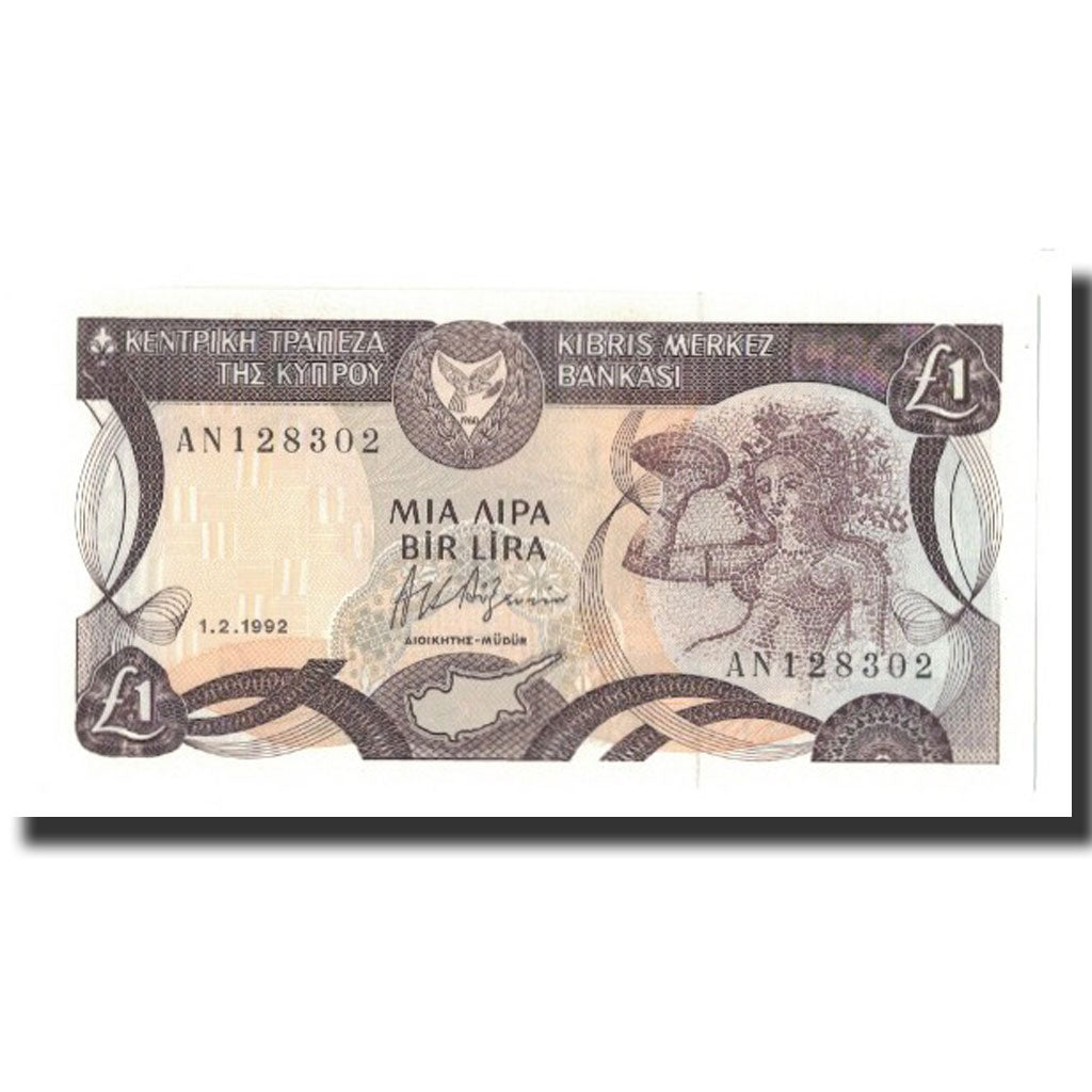 Banknote, Cyprus, 1 Pound, 1992-02-01, KM:53b, UNC(65-70)