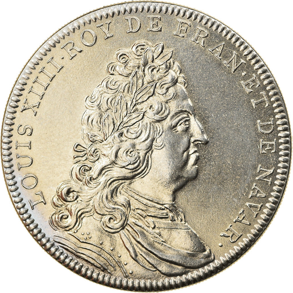 France, Medal, Les rois de France, Louis XIV, History, MS(63), Nickel