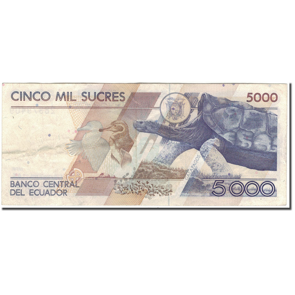 Banknote, Ecuador, 5000 Sucres, 1995-01-31, KM:128b, EF(40-45)