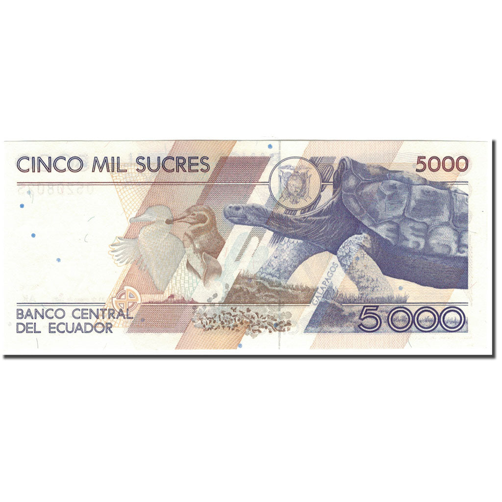 Banknote, Ecuador, 5000 Sucres, 1995-01-31, KM:128b, UNC(65-70)