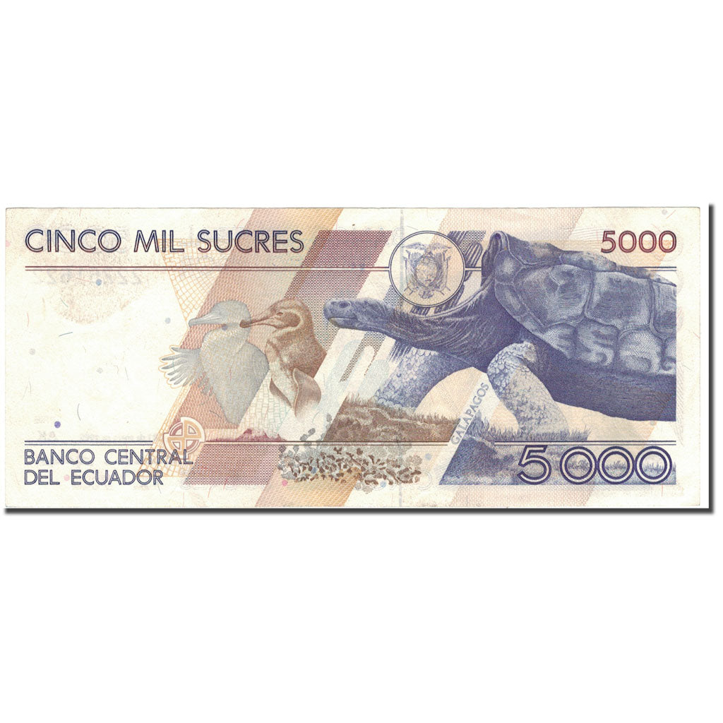 Banknote, Ecuador, 5000 Sucres, 1995-01-31, KM:128b, UNC(63)